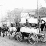 Four mules pulling a cart with a large block of granite.