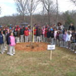 Dozens of school children around a newly planted tree