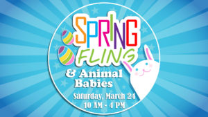 Spring Fling & Animal Babies graphic 