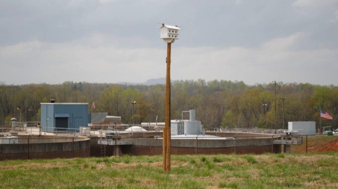 Purple martin condo on pole in front of wastewater treatment plant