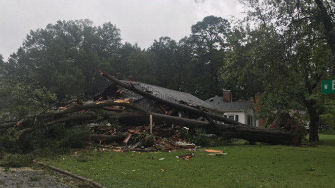 Home crushed by a large fallen tree