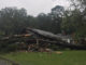 Home crushed by a large fallen tree
