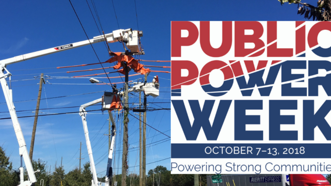 public power utility inc