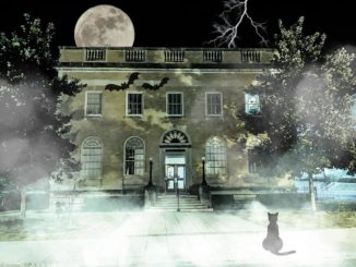 Spooky night outside city hall event