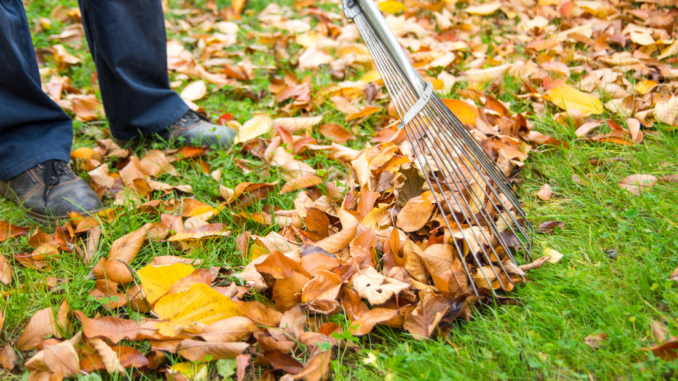 Autumn brings changes to Gastonia’s yard waste collection - City News ...