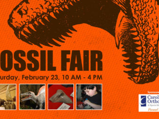 Fossil Fair at the Schiele