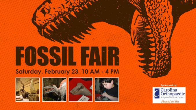 Fossil Fair at the Schiele