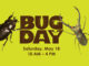 Two insects around the words Bug Day