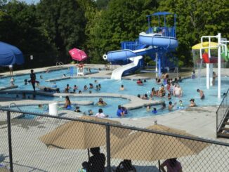 Dozens of people in Lineberger Park pool