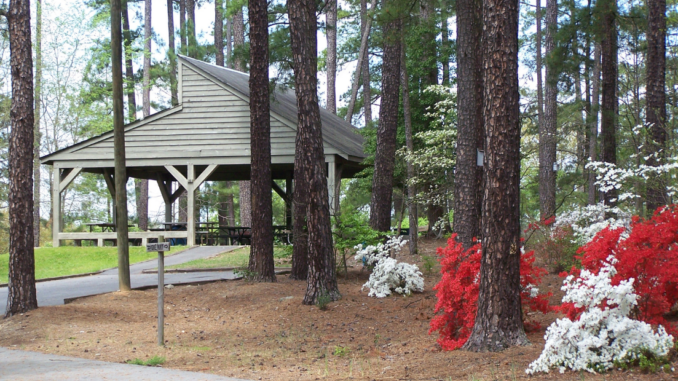 Trees, blooming azaleas and picnic shelter