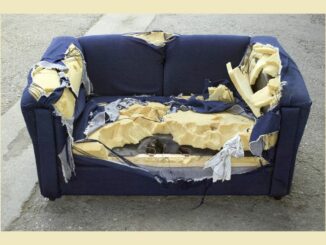 Old sofa with badly torn upholstery