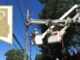 Linemen repairing electric lines, Public Power award logo