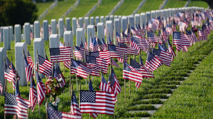American flags in rows in cemetery