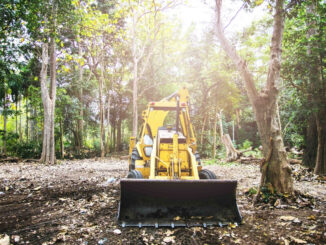 Bulldozer in wooded area