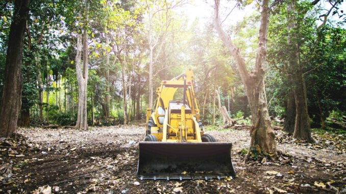 Bulldozer in wooded area