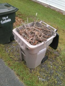 Recycling bin filled with sticks and leaves