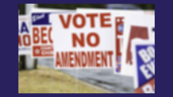 Political yard signs along a street