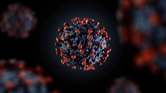 Image of coronavirus