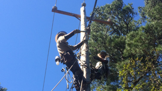 Two men high on a pole connecting electric lines