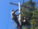 Two men high on a pole connecting electric lines