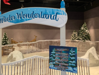 Winter Wonderland sign above skating rink entrance