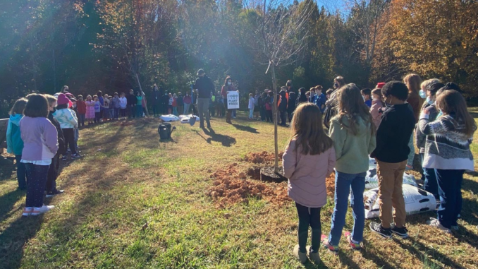 School children in semi-circle around newly planted tree