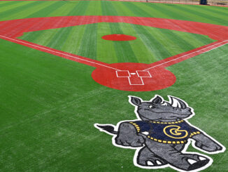 Sims Park ballfield with Rhinos logo near home plate
