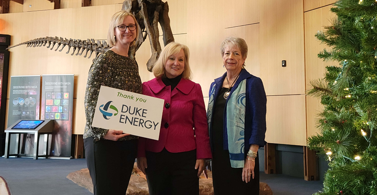 Schiele and Duke Energy – CNS